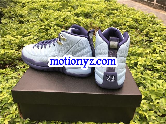 Authentic Air Jordan 12 Retro Purple Dust